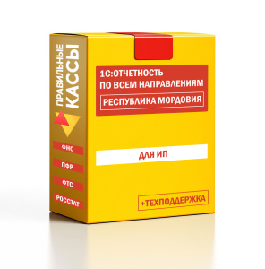 Отчетность_ИП_Республика Мордовия